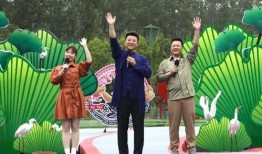 社会新闻爆料视频大全,揭秘最新爆料视频大全